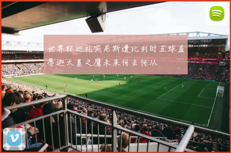 世界杯巡礼突尼斯遭比利时五球羞辱迦太基之鹰未来何去何从