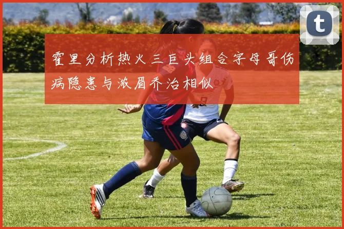 霍里分析热火三巨头组合字母哥伤病隐患与浓眉乔治相似