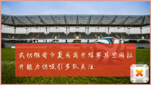 武切维奇今夏或离开绿军其空间拉开能力仍吸引多队关注