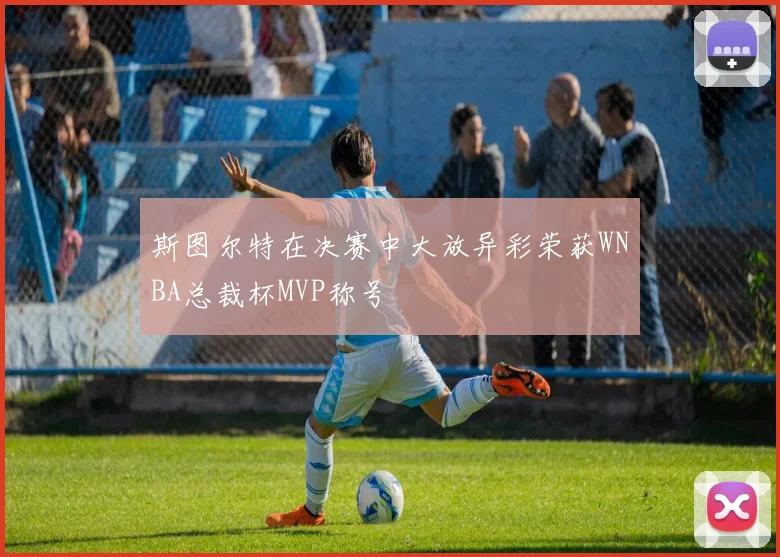 斯图尔特在决赛中大放异彩荣获WNBA总裁杯MVP称号